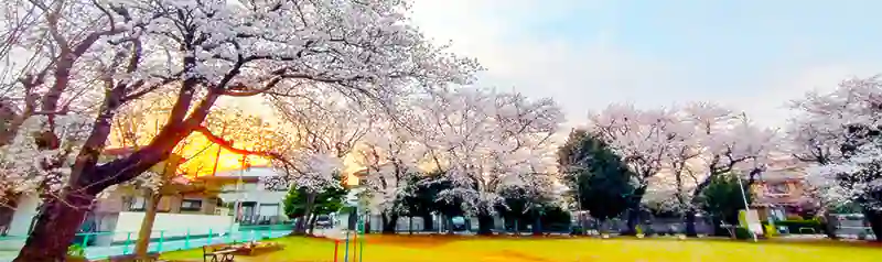 八千代台の助さんのホームページで使う公園の画像