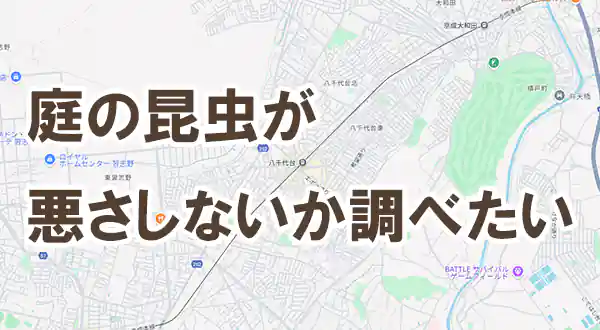 「害の有る虫（害虫）か知りたい」記事タイトル画像