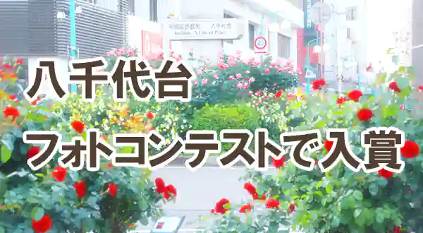 「八千代台フォトコンテストで入賞しました」記事タイトル画像